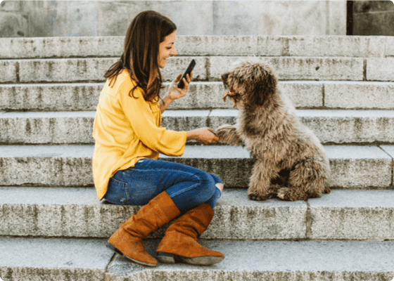 Una señora de amarillo dando la mano a un perro