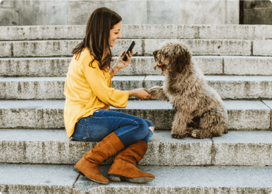 A lady in yellow handshaking a dog