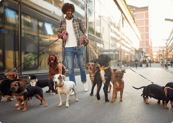 Un paseador de perros con varios perros en brazos