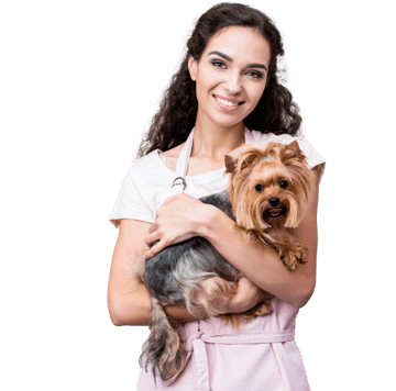 Ein Haustierpfleger hält einen Hund