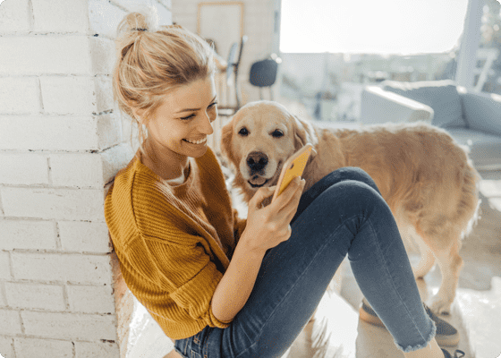 Ein Hund der zu einer Frau aufschaut, die auf ihr Handy schaut